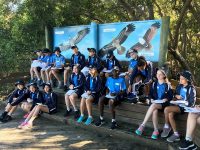 Year 8 Geography Excursion